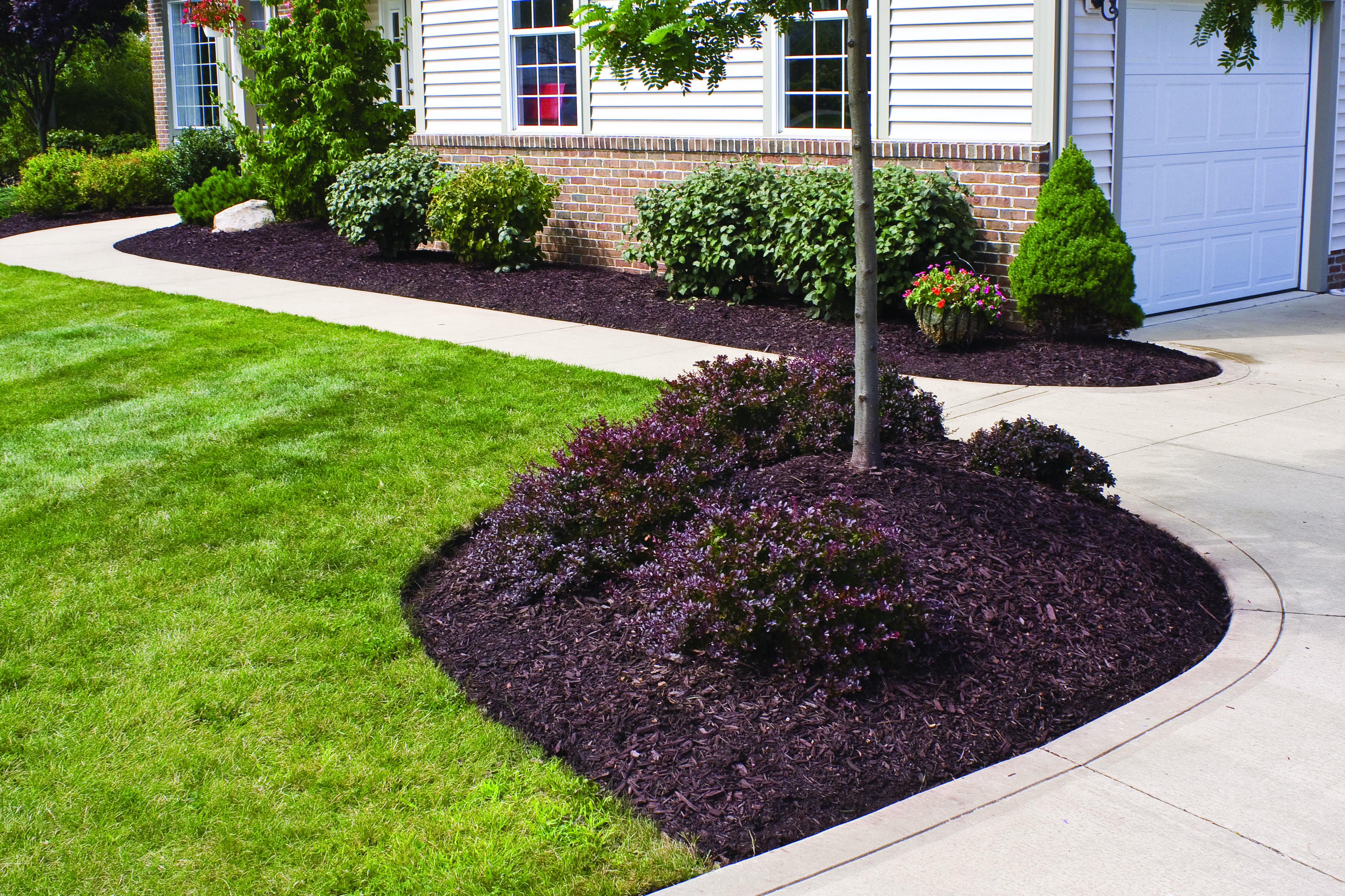Mulch Colorants for Green Wood or Color Resistant Fiber
